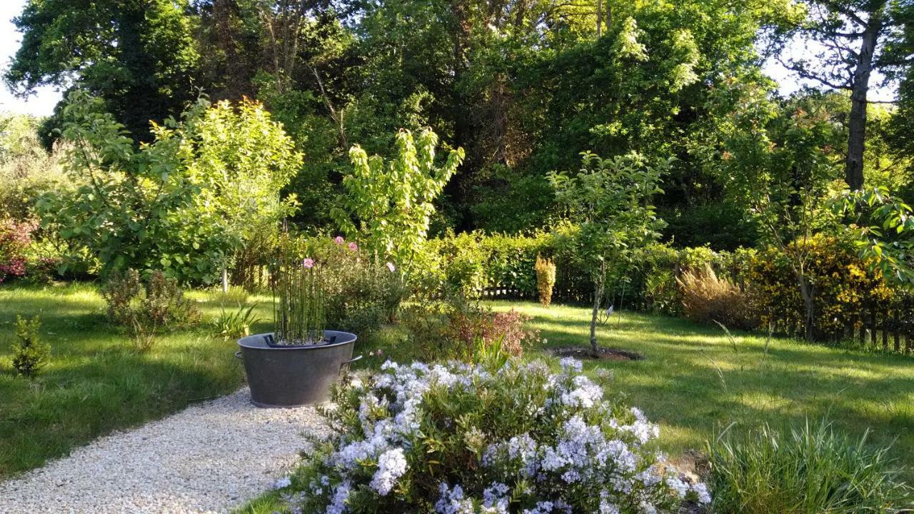 Les Muscaris Bed and Breakfast Le Minihic-sur-Rance Buitenkant foto