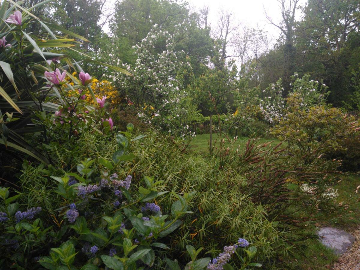 Les Muscaris Bed and Breakfast Le Minihic-sur-Rance Buitenkant foto